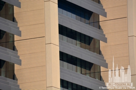 the-index_terri-meyer-boake4