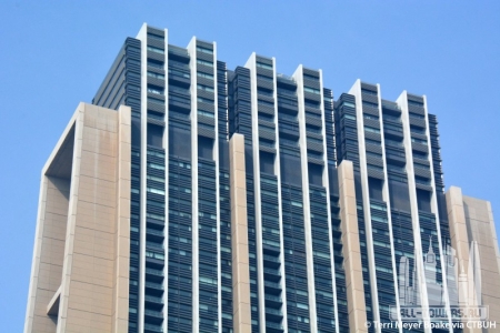 the-index_terri-meyer-boake5