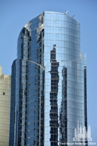 ag-tower_terri-meyer-boake4