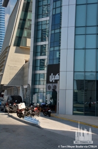 the-regal-tower_terri-meyer-boake3