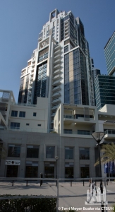 executive-tower-c_terri-meyer-boake1