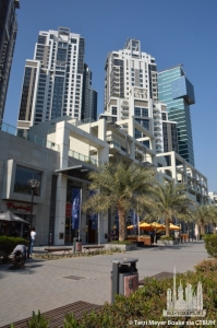 executive-tower-c_terri-meyer-boake7