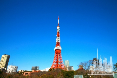 Free-Stock-Photo-Tokyo-Tower008_