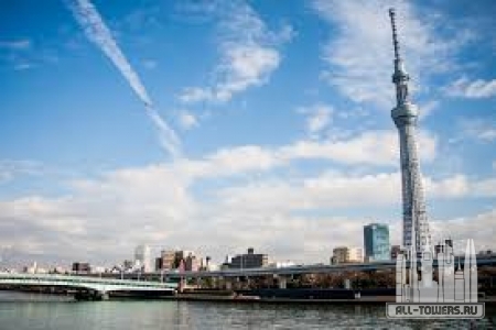 Без названия (1)