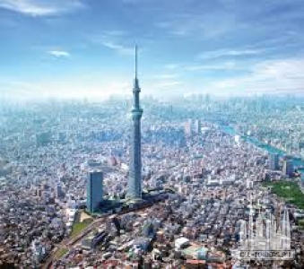 Без названия (2)