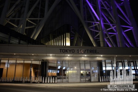 tokyo-sky-tree_terri-meyer-boake3