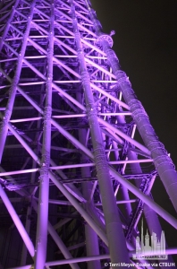 tokyo-sky-tree_terri-meyer-boake5