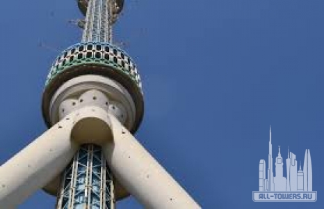 Без названия (1)