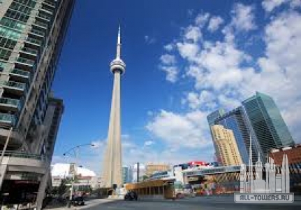 Без названия (2)