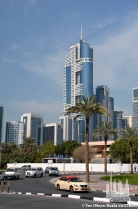 hhhr-tower_terri-meyer-boake2